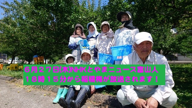 緊急告知・6月27日ニュース富山人で放送予定/今年は、メディア出ずっぱり