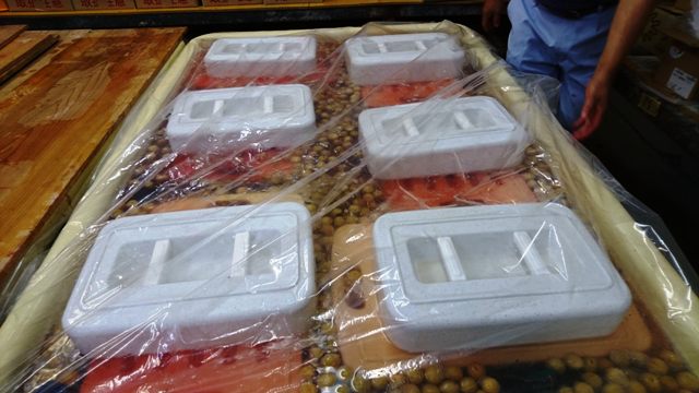【梅干しづくり】紫蘇漬け・知恵を絞って3つの特許裏技駆使!