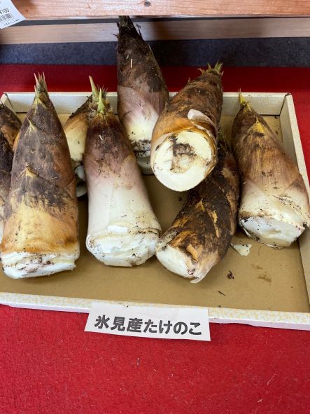氷見あんしん食品 今週のラインナップ