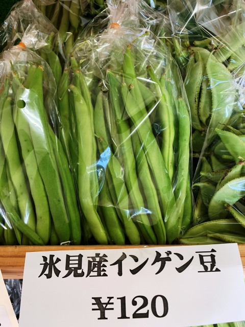 インゲン豆