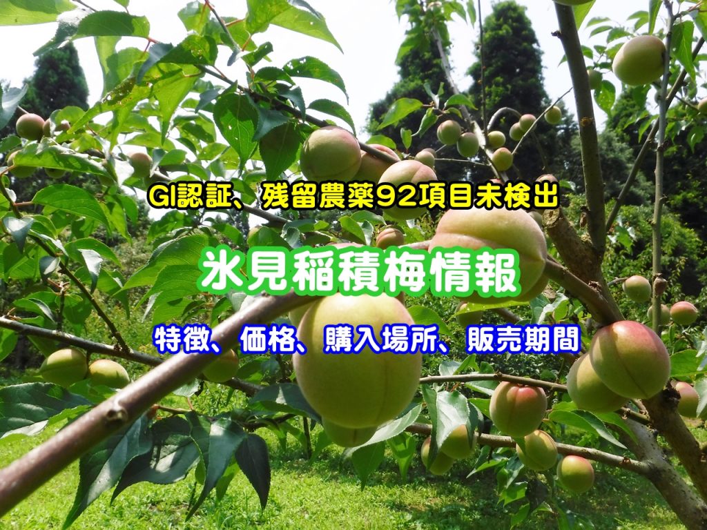 KAORU様専用5キロ かおるん様専用〈農薬：栽培期間中不使用〉 富山