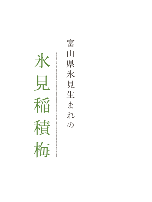 氷見稲積梅 株式会社